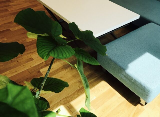 BoConcept,Rubi,flannel sofa,SIESTA,stool large,Granada,エクステンションテーブル