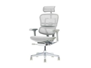 エルゴヒューマンプロハイ