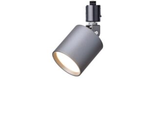 Grid-swingable duct down light