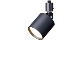 Grid-swingable duct down light