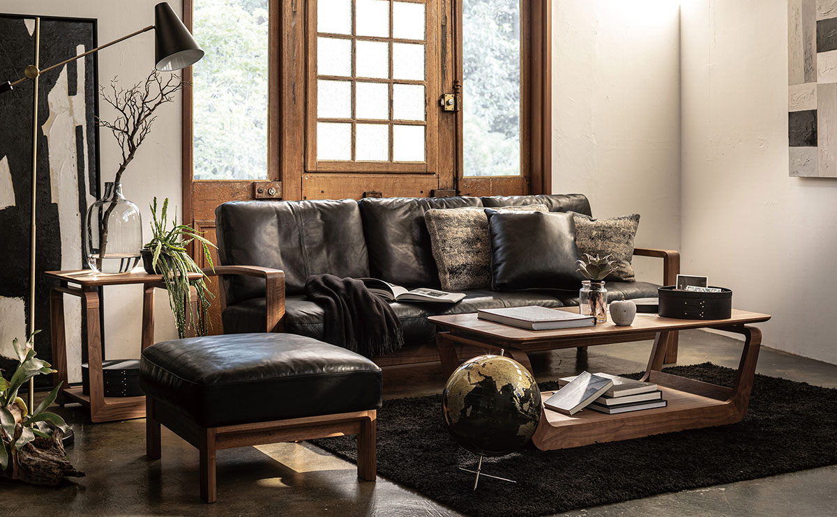 フジファニチア